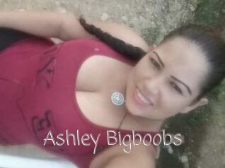 Ashley_Bigboobs