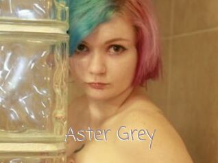 Aster_Grey