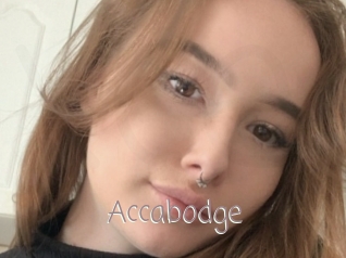 Accabodge