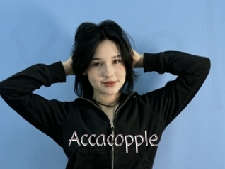 Accacopple