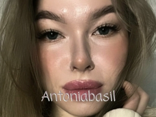 Antoniabasil