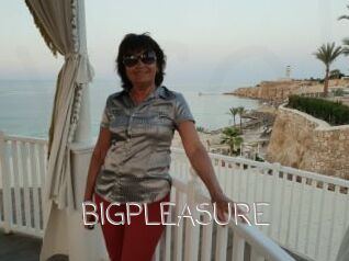 BIGPLEASURE