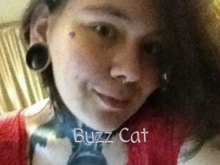 Buzz_Cat