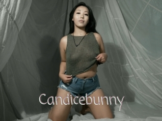 Candicebunny