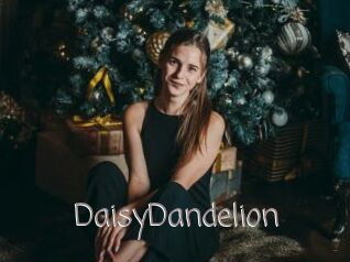 DaisyDandelion