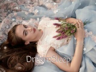 DreamSleep