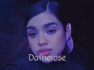 Dafnerose