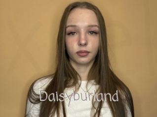 Daisyburland