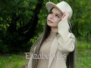 Elizabarnes