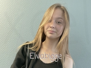 Elvabigge