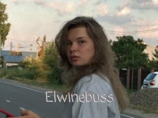 Elwinebuss