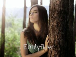 Emilyflow