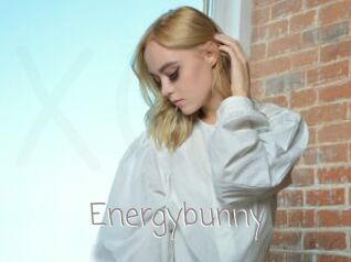 Energybunny