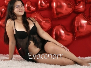 Evaconorr