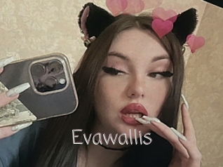 Evawallis