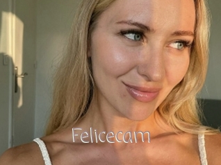 Felicecam