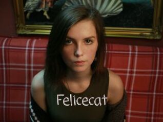 Felicecat