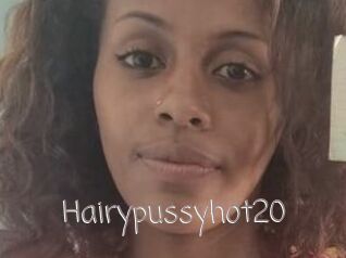 Hairypussyhot20