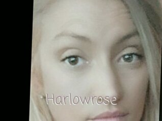 Harlowrose