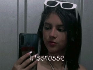 Irissrosse