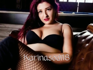 Karinasodi18