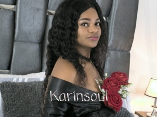 Karinsoul