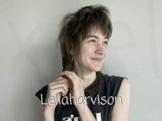 Leilaharvison