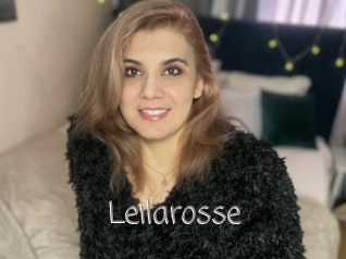 Leilarosse