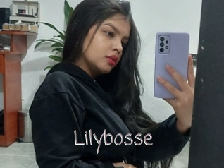 Lilybosse