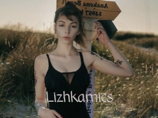 Lizhkamics