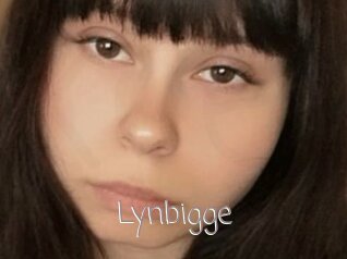 Lynbigge