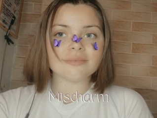 Mischarm