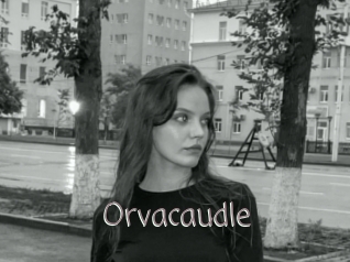 Orvacaudle