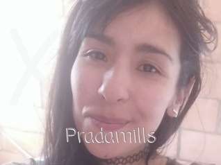 Pradamills