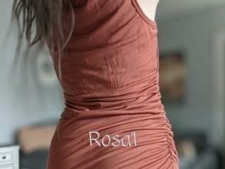 Rosa1