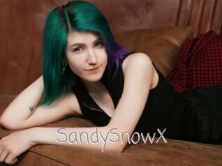 SandySnowX