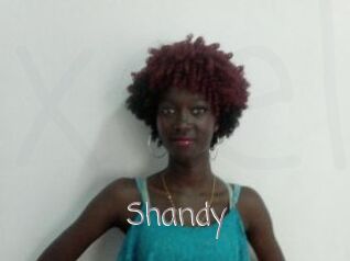 Shandy