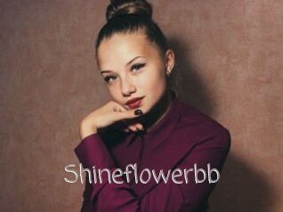 Shineflowerbb