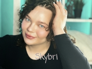 Skybri