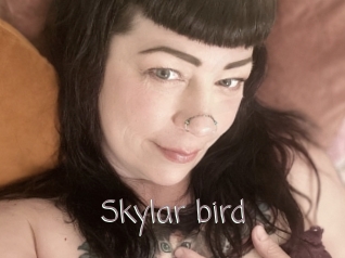 Skylar_bird