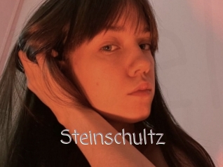 Steinschultz