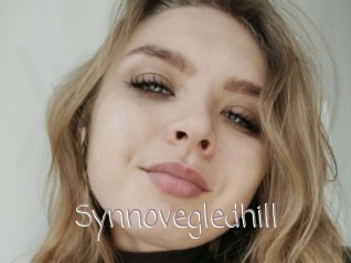 Synnovegledhill