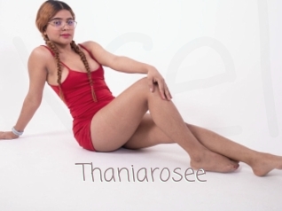 Thaniarosee