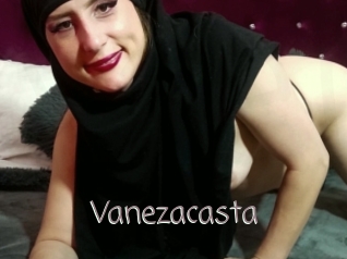 Vanezacasta