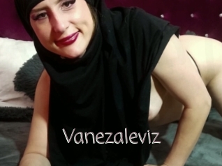 Vanezaleviz