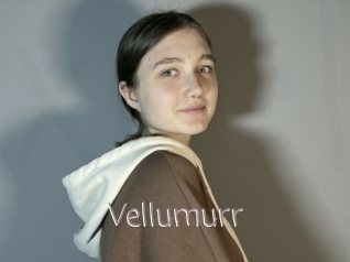 Vellumurr