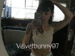 Velvetbunny97