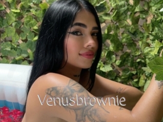 Venusbrownie