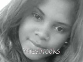 Ynesbrooks